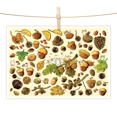 明信片 - 森林的禮物1