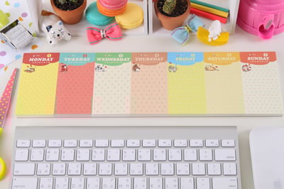 貓咪生活週記本 - 繽紛樂6