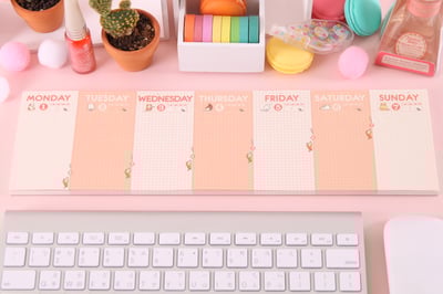 貓咪生活週記本 - 典雅粉5