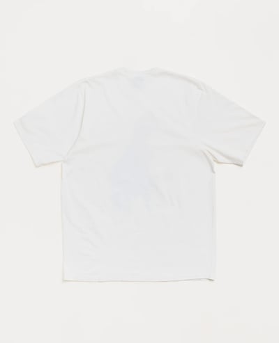 Stüssy Big & Meaty Tee Pigment Dyed2