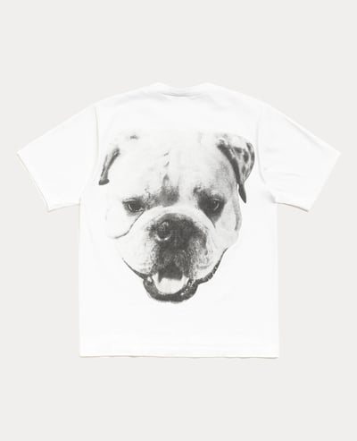 Stüssy Big Dog Stone Washed Tee1