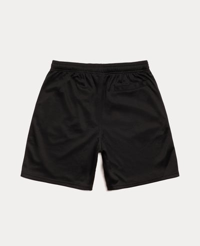 Stüssy Basic Mesh Short2