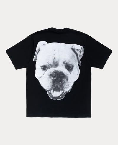 Stüssy Big Dog Stone Washed Tee1
