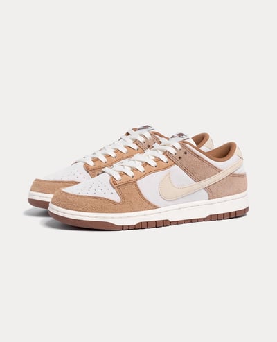Nike Dunk Low Retro PRM1