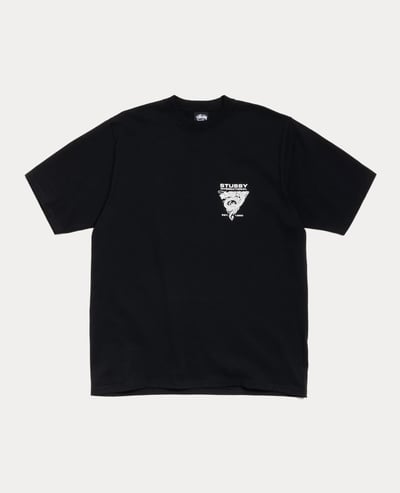 Stüssy Dragon Tee2