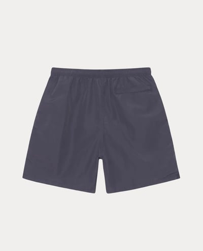 Stüssy Water Short Big Basic2