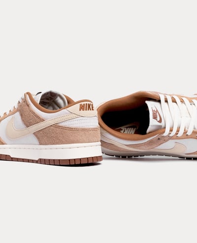 Nike Dunk Low Retro PRM3