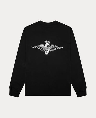 Stüssy Skull Wings Long Sleeve Tee Pigment Dyed2