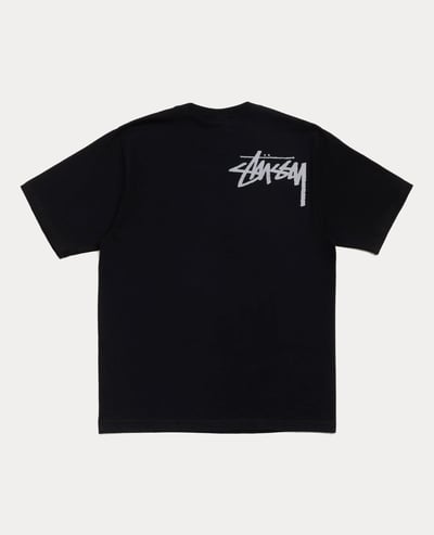 Stüssy Double Venus Tee2