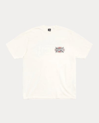 Stüssy Champion Oval Tee Pigment Dyed2