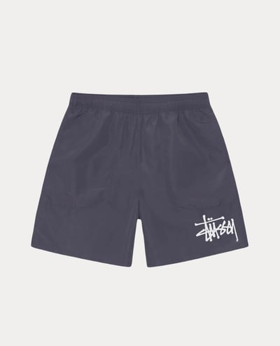 Stüssy Water Short Big Basic1