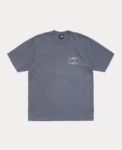 Stüssy Champion Oval Tee Pigment Dyed2