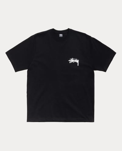 Stüssy Victoria Tee2