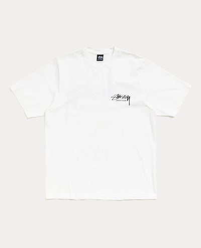 Stüssy Beach Roots Tee Pigment Dyed2