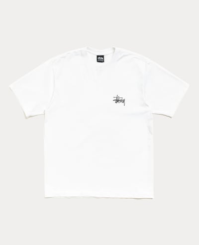 Stüssy Big Dog Stone Washed Tee2