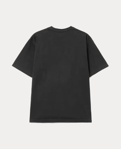 Adidas Originals Duck Graphic2