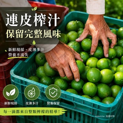 屏東長治100%檸檬/金桔冰角 2口味任選9