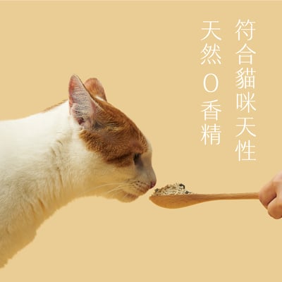 【草恩貓砂】升級版 Catch 酶豆砂19