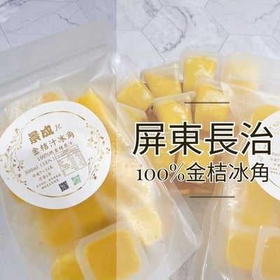 屏東長治100%檸檬/金桔冰角 2口味任選4