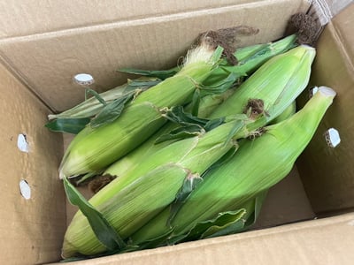 爆甜登場｜果農直送生食級牛奶水果玉米4