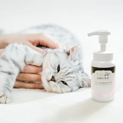 益菌革命｜TRIPLE PROBIO 貓咪乾洗抗菌慕斯 150ml3