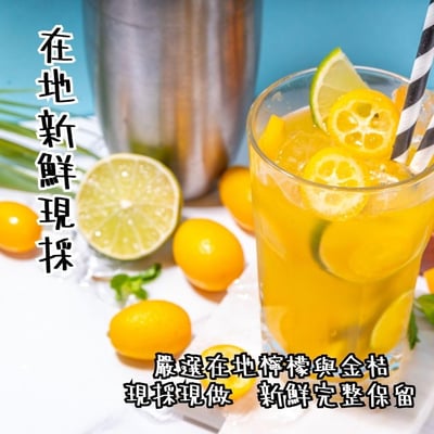 屏東長治100%檸檬/金桔冰角 2口味任選8