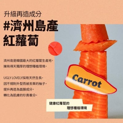 在台現貨｜韓國純素保養 UGLY LOVELY 沖洗式面膜100ml12