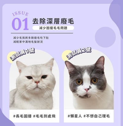 【ROOMMI】KIMOCHI 寵物負離子除毛梳 RMPT02 (寵物梳+按摩器+紫光燈+逗貓器)7