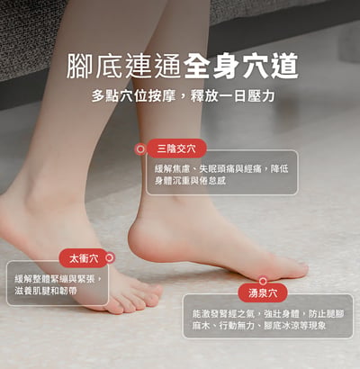 【3ZeBra】微電腦控溫 SPA 泡腳機8