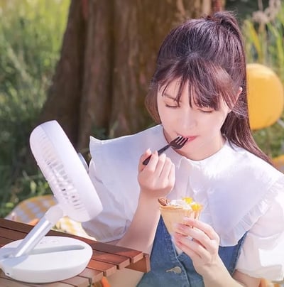 【Philips 飛利浦】迷你行動循環摺疊風扇 ACR2124DX11