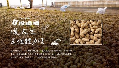 【日投晒晒】雲林在地炒花生 限量僅此一組｜中元普渡老饕終極組7