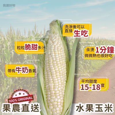 爆甜登場｜果農直送生食級牛奶水果玉米2