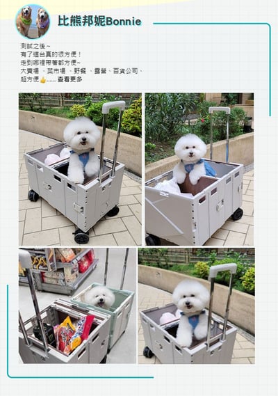 【PURE LIFE】可擴充折疊加厚收納購物車 (月光白) 附贈彈力繩+專用雨套10