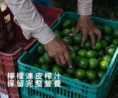 屏東長治100%檸檬/金桔冰角 2口味任選6