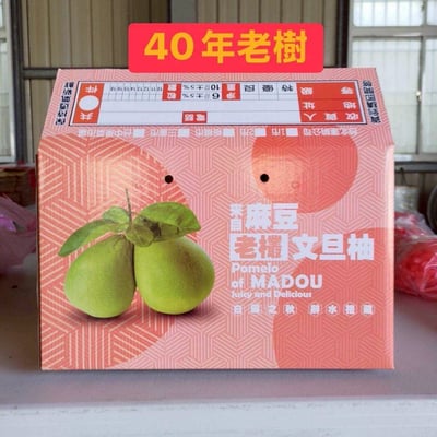 台南麻豆文旦禮盒，限量免運價（6kg／箱）3