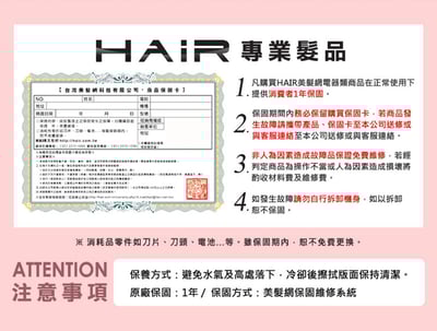 【Pingo台灣品工】 Travel Qmini極輕隨身掌型吹風機16