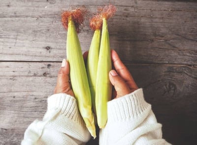 無毒自然栽培 | 紅鬚玉米筍8斤10