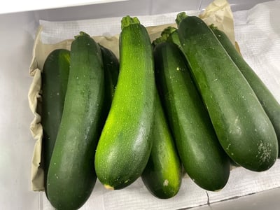 【台灣特選】清爽嫩綠櫛瓜(節瓜) 5斤/箱3