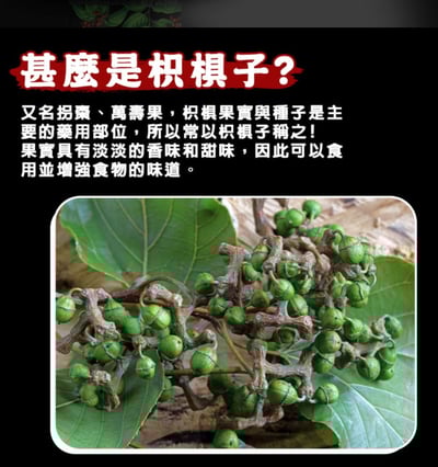 韓國 Kwangdong 男茶枳椇子茶（500ml x 20入/箱）2