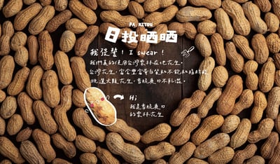 【日投晒晒】雲林在地炒花生 限量僅此一組｜中元普渡老饕終極組5