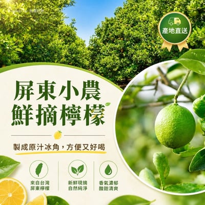 屏東長治100%檸檬/金桔冰角 2口味任選8