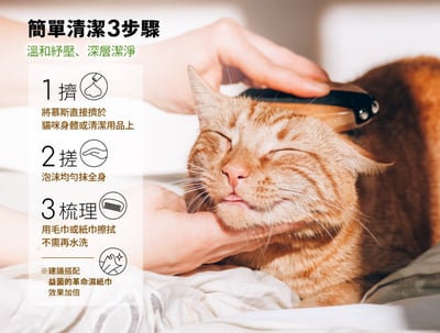 益菌革命｜TRIPLE PROBIO 貓咪乾洗抗菌慕斯 150ml10