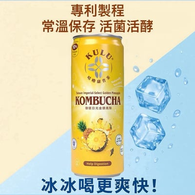 咕嚕康普茶  250ml 24入/1箱 (康普茶 Kombucha 氣泡飲 氣泡水 益生菌 低糖)6