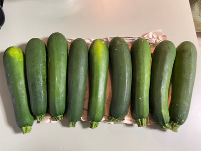 【台灣特選】清爽嫩綠櫛瓜(節瓜) 5斤/箱6