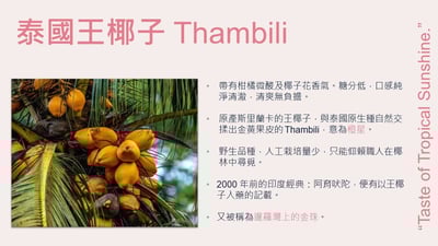 LINDY'S 100% 原味椰子水310ml 24入裝12