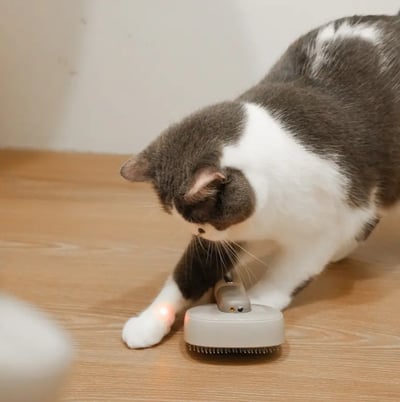 【ROOMMI】KIMOCHI 寵物負離子除毛梳 RMPT02 (寵物梳+按摩器+紫光燈+逗貓器)3