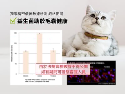 益菌革命｜TRIPLE PROBIO 貓咪乾洗抗菌慕斯 150ml7