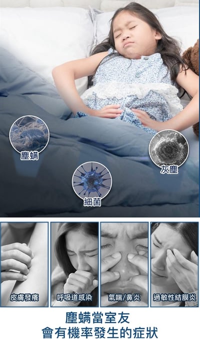 【SAMPO聲寶 】真會打Super Player UV除蟎機 EC-FA09DYB3