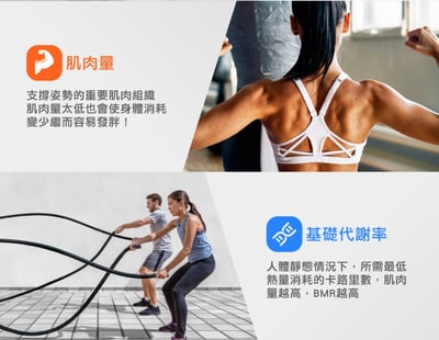 【德國 medisana】24合1藍牙多功能體脂計 BS340  (體重計/體脂秤/體重機/APP監測/四點式/復健科醫師推薦)8