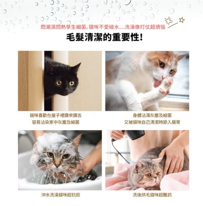 益菌革命｜TRIPLE PROBIO 貓咪乾洗抗菌慕斯 150ml4